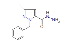 1-Benzyl-3-methyl-1H-pyrazole-5-carbohydrazide, 97%
