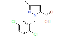 1-(2,5-Dichlorobenzyl)-3-methyl-1H-pyrazole-5-carboxylic acid, 97%