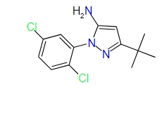 5-Tert-butyl-2-(2,5-dichlorophenyl)-2h-pyrazol-3-ylamine, 97%