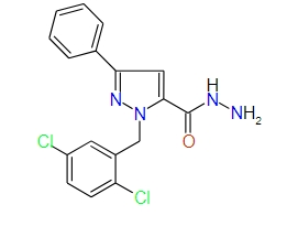 1-(2,5-Dichlorobenzyl)-3-phenyl-1H-pyrazole-5-carbohydrazide, 97%