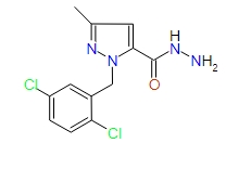 1-(2,5-Dichlorobenzyl)-3-methyl-1H-pyrazole-5-carbohydrazide, 97%
