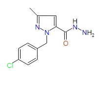 1-(4-Chlorobenzyl)-3-methyl-1H-pyrazole-5-carbohydrazide, 97%