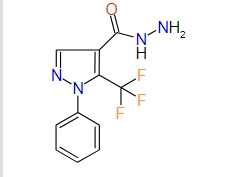 5-(Trifluoromethyl)-1-phenyl-1H-pyrazole-4-carbohydrazide, 97%
