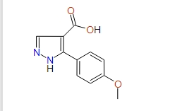 5-(4-Methoxyphenyl)-1H-pyrazole-4-carboxylic acid, 95%