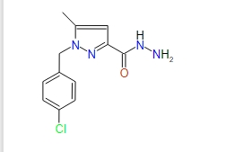 1-(4-Chlorobenzyl)-5-methyl-1H-pyrazole-3-carbohydrazide, 97%