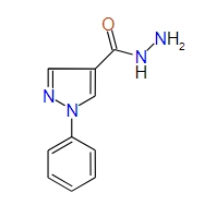 1-Phenyl-1H-pyrazole-4-carbohydrazide, 95%